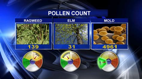 Allergy Tracker gives pollen forecast, mold count, information and forecasts using weather conditions historical data and research from weather.com